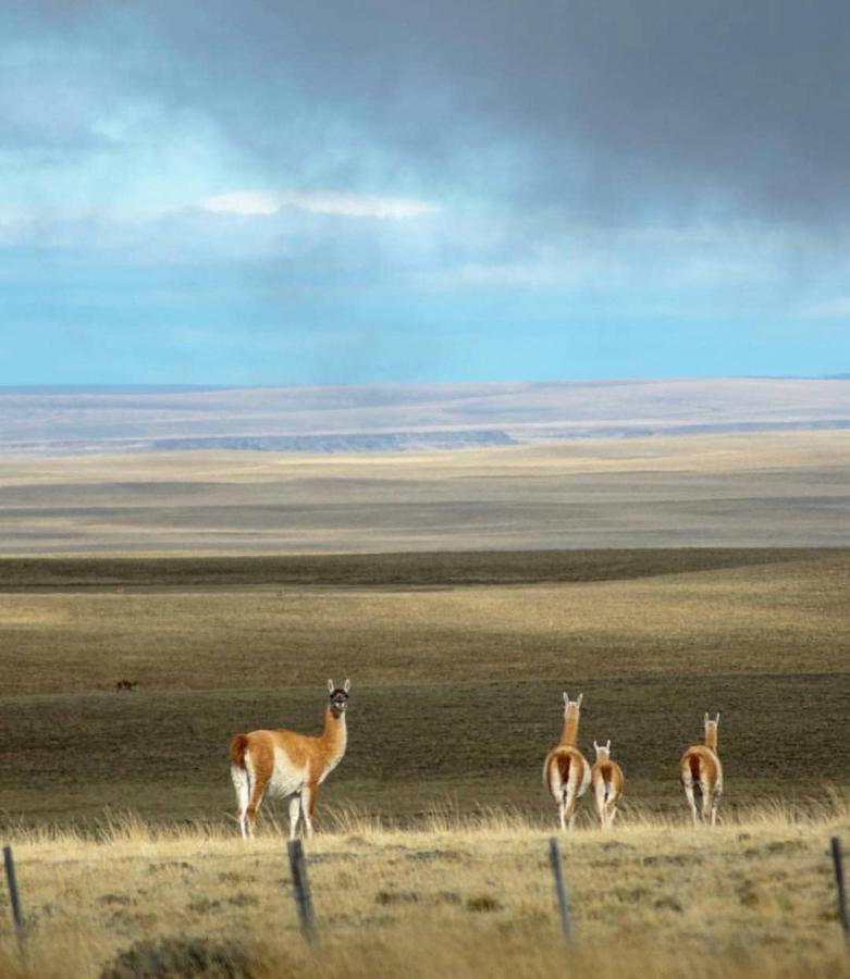South Apartments El Calafate Luaran gambar